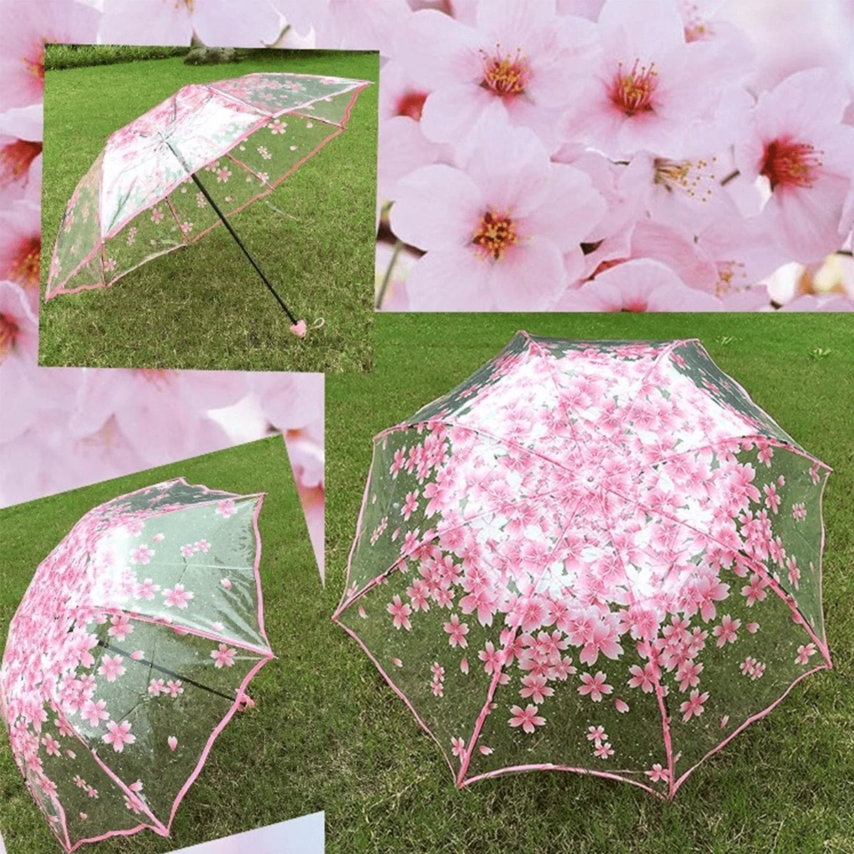 1 trendy edge retro transparent umbrella - three-fold transparent folding umbrella -PVC material, suitable for travel photograph