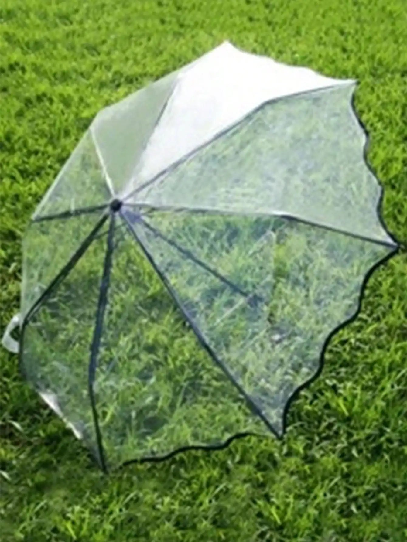 1 trendy edge retro transparent umbrella - three-fold transparent folding umbrella -PVC material, suitable for travel photograph