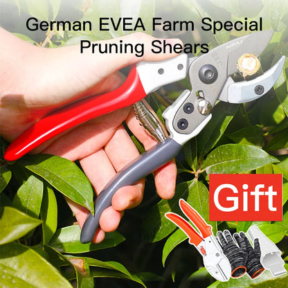 Gardening Pruning Shears – Labor-Saving Branch Scissors for Fruit Tree & Garden Trimming